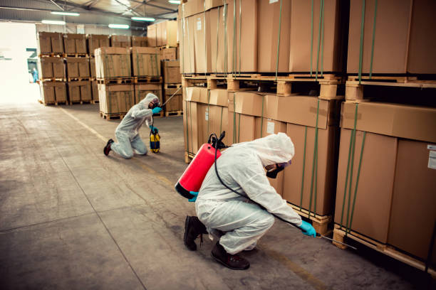 Best Pest Control Treatment  in Marinette, WI