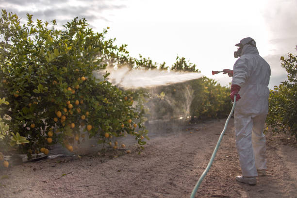 Best Exterminator Services  in Marinette, WI