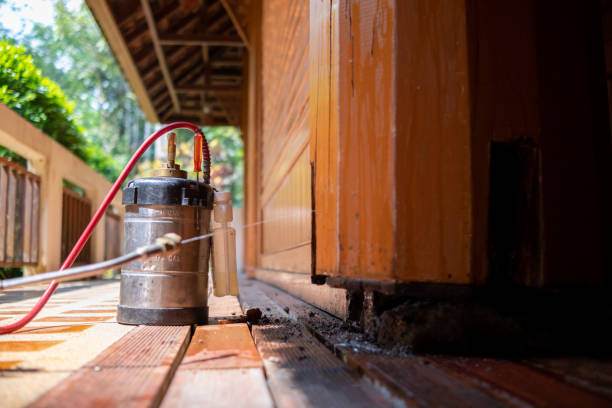 Best Local Pest Control Services  in Marinette, WI