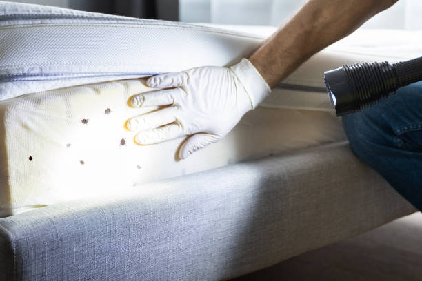 Best Affordable Pest Control Services  in Marinette, WI