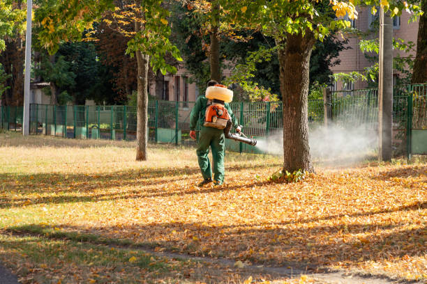 Insect Control in Marinette, WI