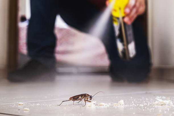 Flea Control Services in Marinette, WI