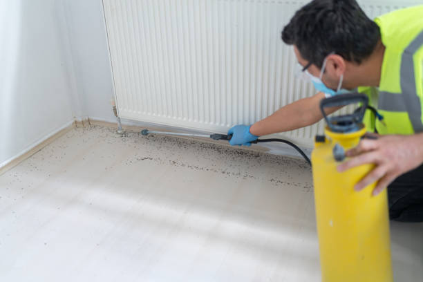 Best Mosquito Control Services  in Marinette, WI